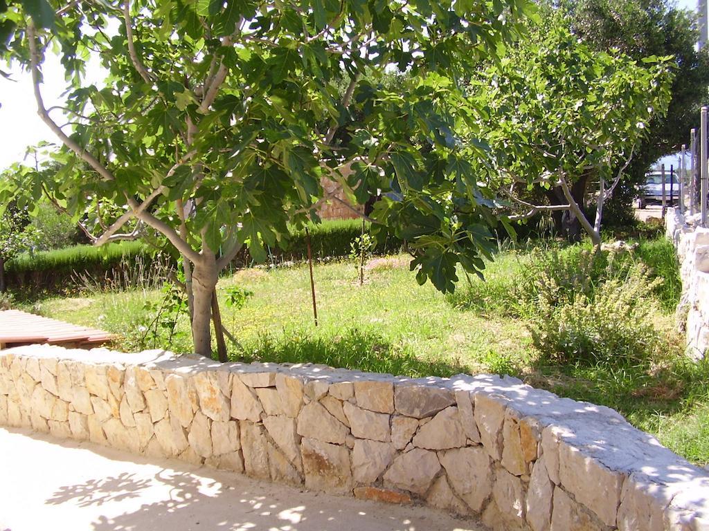 Apartments Krusvina لون المظهر الخارجي الصورة