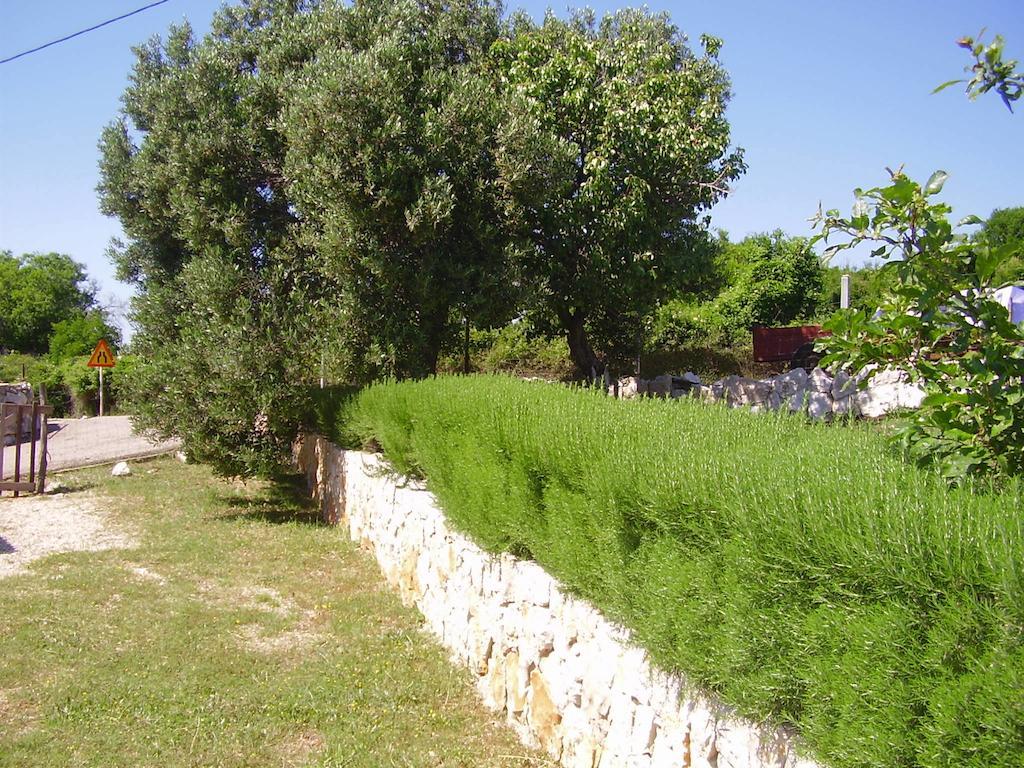 Apartments Krusvina لون المظهر الخارجي الصورة