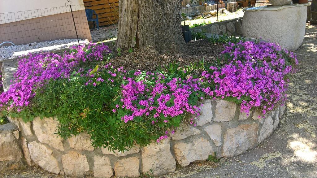 Apartments Krusvina لون المظهر الخارجي الصورة
