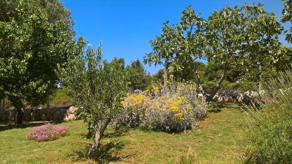Apartments Krusvina لون المظهر الخارجي الصورة